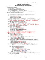 subject- verb agreement (P)