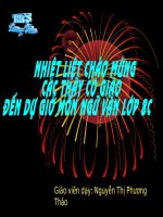 Ôn dịch thuốc lá NV 8