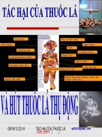 CHUYÊN ĐỀ VỀ THUỐC LÁ