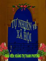 Ôn tập xã hội