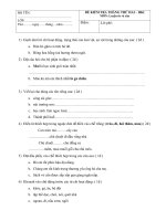 Đề thi KTTX tháng 10 môn LTVC-TR.A