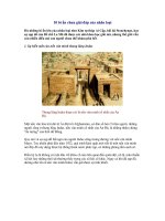 10 BÍ ẨN CHƯA GIẢI ĐÁP CỦA NHÂN LOẠI