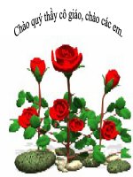 luyen tu va cau: CAU KHIEN