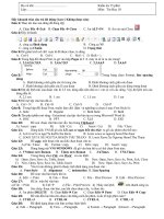 ktra 15 phut lan 1(02)