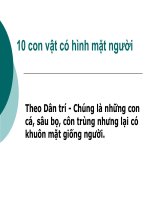 10 con vat co hinh mat nguoi