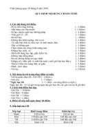 QUY ĐỊNH CHẤM CỜ ĐỎ CÔNG TÁC ĐỘI