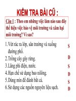 Bài 15 bảo vệ di sản văn hóa