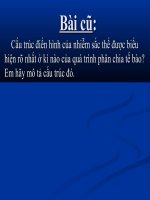 Tiết 15 Bài : ADN