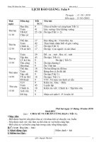 giáo án lớp 3 tuần 9 (CKTKN)