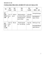 Kế hoạch chủ điểm Tết và mùa xuân