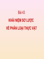 Bai 43_K.niem so luoc ve P.loai TV