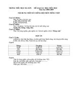 đề thi học sinh giỏi đồng đội môn tiếng việt khối 5