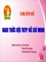 Những vấn đề chung về nghi thức đội