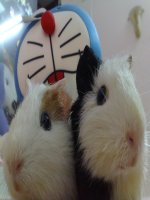 Chuong 1 - tiet 16 - dai 9 soan moi