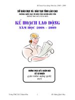 Kế hoạch lao động trong trương THCS