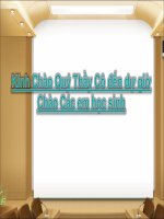 Tổng hợp dao động điều hòa