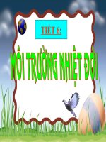 moi truong nhiet doi