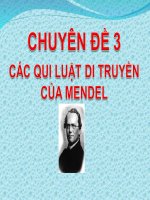 CÁC QUY LUẬT DI TRUYỀN CỦA MENDEL