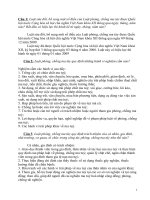 thi tìm hiểu luật phòng chông ma tuý