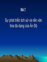 su phat trien lich su va nen van hoa da dang cua An Do