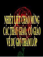 cau chu đông,bi đông