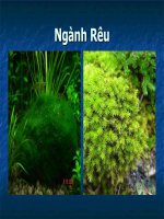 Hệ thống phân loại sinh vật
