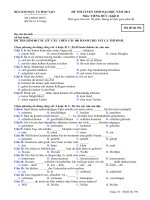 ĐỀ THI TUYỂN SINH ĐẠI HỌC NĂM 2013 Môn: TIẾNG ĐỨC; Khối D mã đề 394 