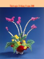 Tiet 24 HH9-GV: Le Cong Hai-THCS Quynh Bang-Quynh Luu-Nghe An