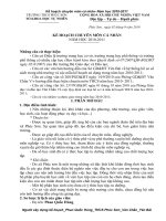 Kế hoạch chuyên môn cá nhân 10-11