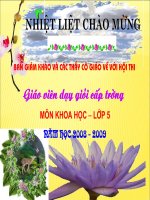 Phòng bệnh Sốt xuất huyết