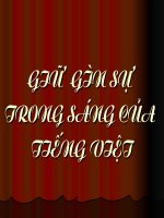 Giữ gìn sự trong sáng của Tiếng Việt