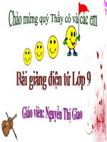 Noi vong tay lon (TCS)