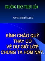 Lục Vân Tiên gặp nạn - Văn 9