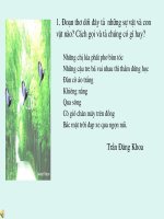 LTC:Ôn tập nhân hóa- LT và TL câu hỏi vì sao