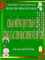 Ôn thi tốt nghiệp: Quần xã sinh vật