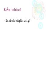 Tiết 56: Phản xạ