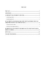 Cơ chế tỉ giá và thực trạng tại viet nam 