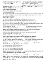 Đề thi Vật Lý 10 (NC),Kì 1 năm học 08-09