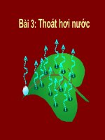 Bài thoát hơi nước