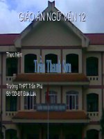 Giữ gìn sự trong sáng của tiếng việt lớp 12