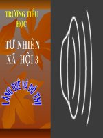 tự nhiên xã hội 3