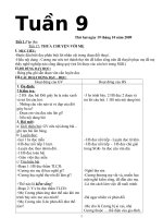 giao án tuần 9 mới