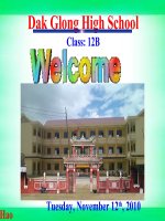 unit 4 language focus E12