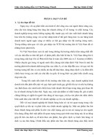 Nâng cao mức độ hài lòng của khách hàng về các dịch vụ tại siêu thị big c huế 