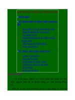 ky thuat nuoi ca tham canh