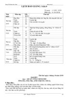 giáo án lớp 3 tuần 8 (CKTKN) cực hót