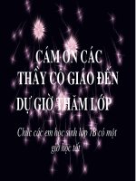 DON THUC DONG DANG t 54