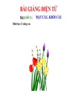 Mặt cầu - Khối cầu