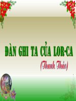 Đàn ghi ta của Loca