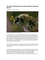 Con trùng thụ phấn